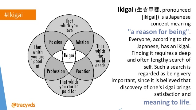 Ikigai=reason_for_being-3