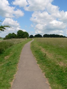 Pathway 2