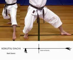 Taekwondo back deals stance